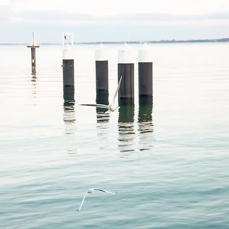 Foerde - Moewe Daire