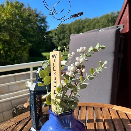 Foerde - Moewe Daire